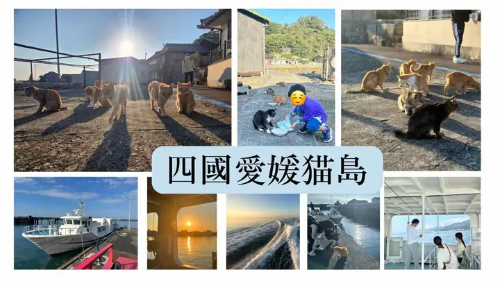 Ååæåªçç«å³¶(éå³¶)å¼å¾å»å