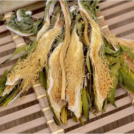 Giải Mã 霸 Vương Hoa: Thông Tin Chi Tiết Về Pokemon Vileplume