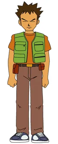 Đánh Bại Brock Pokemon: Hướng Dẫn Chi Tiết Cho Người Mới