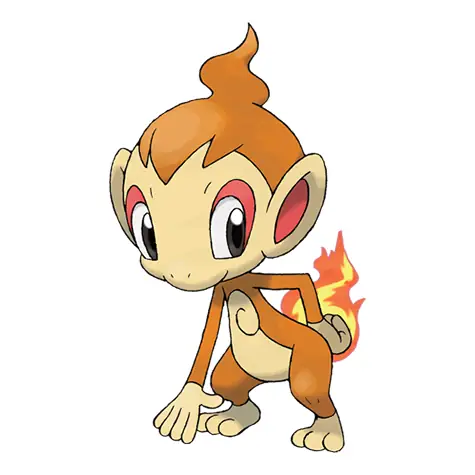 Chimchar Là Pokémon Gì? Thông Tin Từ A-z Cho Hlv