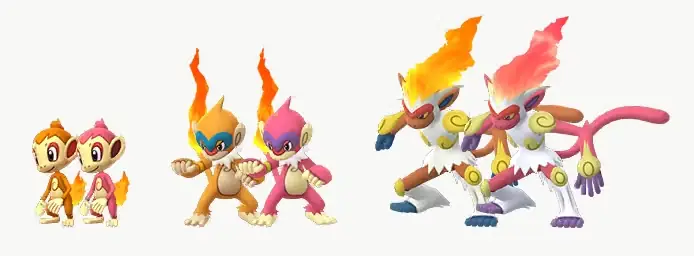 Chimchar Là Pokémon Gì? Thông Tin Từ A-z Cho Hlv