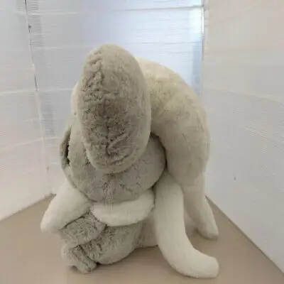 Thông Tin Pokedex Cơ Bản