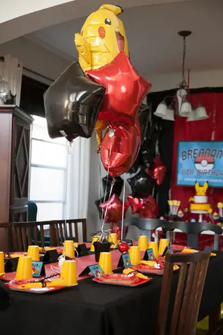 Diy Pokemon Party Backdrop Idea