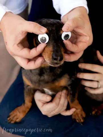 After We Ate, We Played. A Lot. We Had The Perfect Games And Activities For All The Pokemon Trainers At The Party.