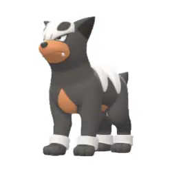 Houndour