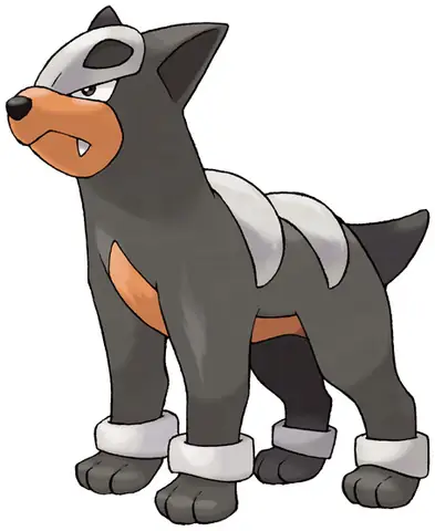 Houndour: Sức Mạnh, Cách Tiến Hóa Và Hướng Dẫn Sử Dụng Chi Tiết