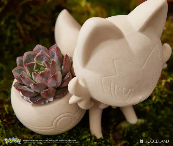 以陶瓷承載自然，讓寶可夢陪伴綠意時光