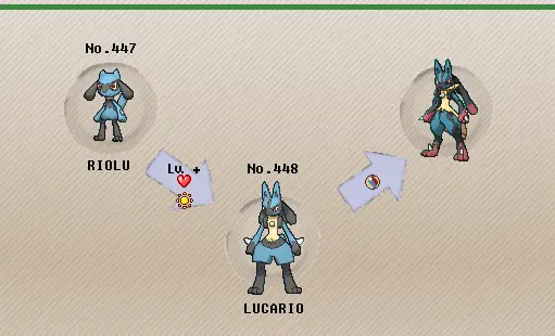 Làm Sao Để Tiến Hóa Riolu Thành Lucario Evo Hiệu Quả Nhất?