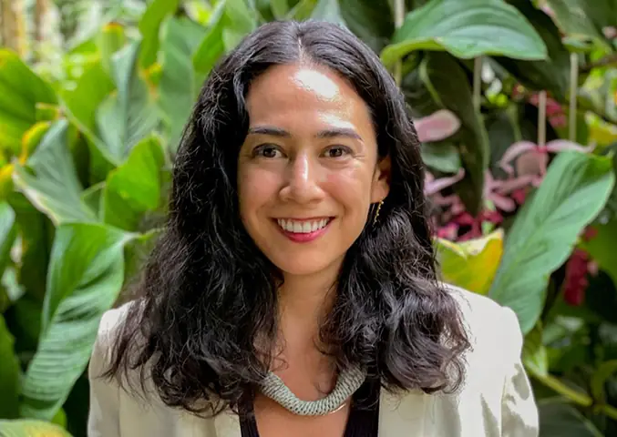 Pokemon Maika: Tổng Hợp Thông Tin, Chỉ Số Và Sức Mạnh