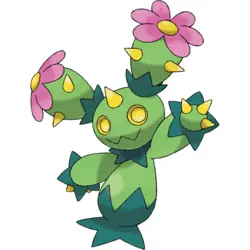 Maractus