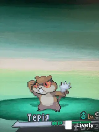 R/pokemon - Gif Của Patrat Trong Pokemon White