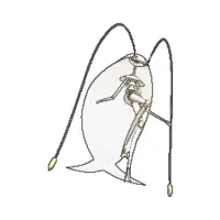 Pheromosa