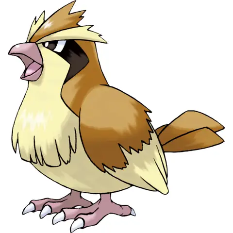 Pidgeotto Anime