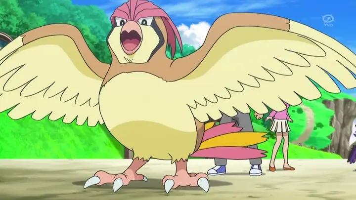 Pidgeotto Trong Anime Pokemon: Hành Trình Và Ý Nghĩa