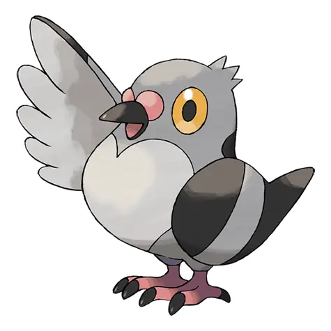Pigeon Pokemon: Phân Tích Chi Tiết Các Loài Chim Bồ Câu