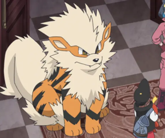 Arcanine (windie)