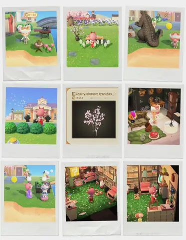 How I Decorated My Island: Miu Miu