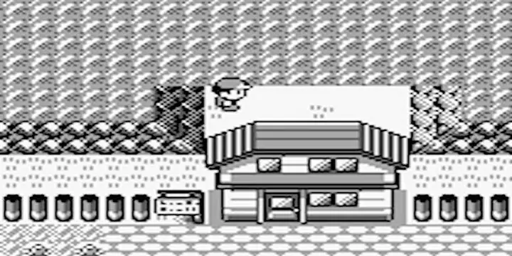 Inside Bill's Secret Garden From Red & Blue Inside Bill's Secret Garden From Red & Blue