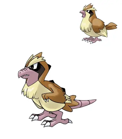 Pokemon Pidgey: Đánh Giá Toàn Diện Chim Sứ Giả Bầu Trời
