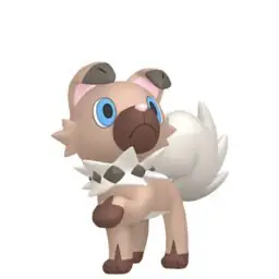 Rockruff (own Tempo Rockruff)