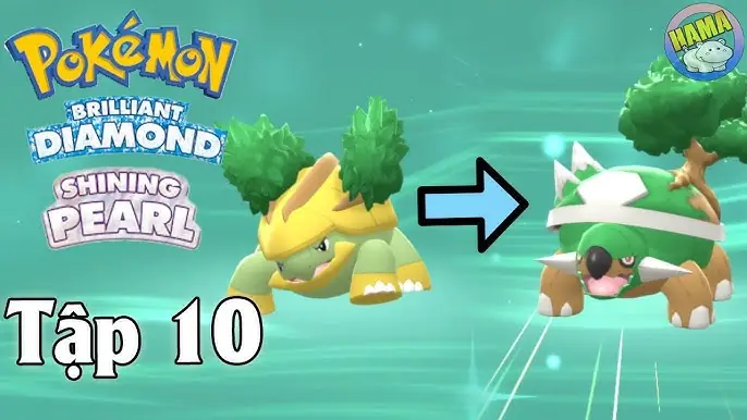 Pokemon Rùa Cây: Tìm Hiểu Chi Tiết Về Turtwig (bối Thảo)