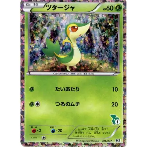 Làm Thế Nào Để Phát Âm Tsutarja Chuẩn Xác Như Chuyên Gia Pokemon?