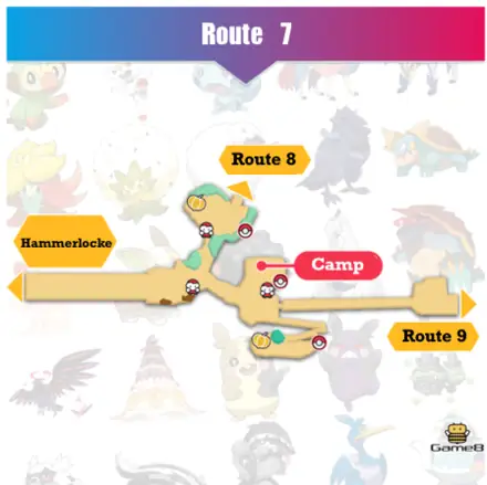 Pokemon White Route 7: Giải Mã Bão Lạ Và Cách Bắt Thundurus