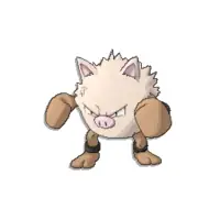 Primeape
