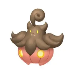 Pumpkaboo (average Size)