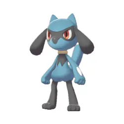 Riolu