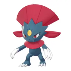 Sneasel