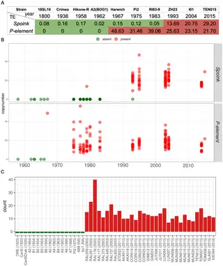 Timing Thespoinkinvasion