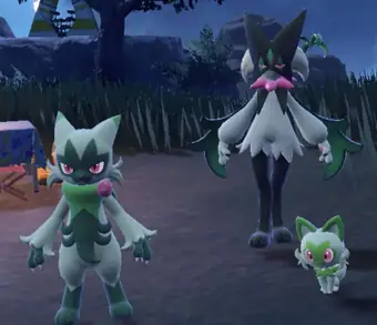 Sprigatito: Hướng Dẫn Toàn Tập Về Pokémon Mèo Cỏ Paldea