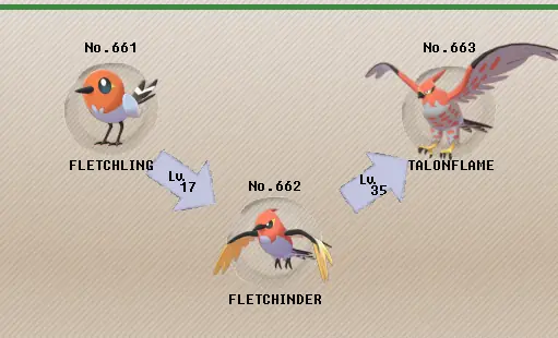 Cách Tiến Hóa Talonflame: Hướng Dẫn Từng Bước Chi Tiết