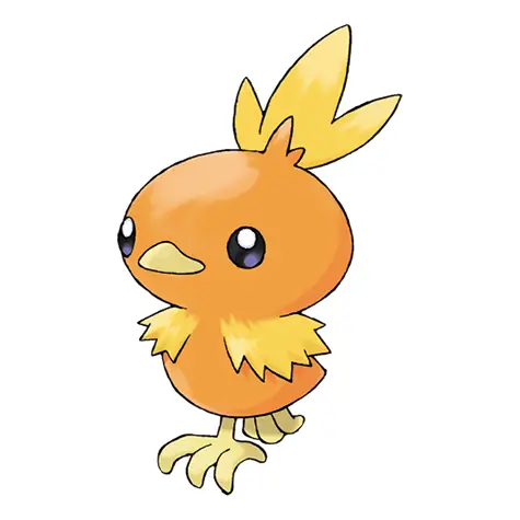 Torchic: Giải Mã Pokemon Gà Lửa Hoenn Từ A Đến Z