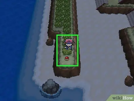 Tuyển Tập Pokemon Lý Tưởng Để Trang Bị Hm Waterfall