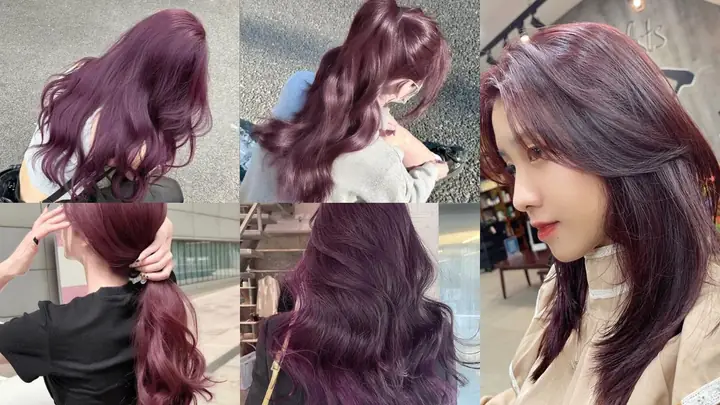 Bảng Màu Tóc Nâu Lạnh Ánh Tím