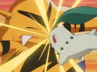 Chikorita Loves Ash