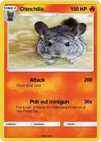 Chinchilla Pokemon: Minccino & Cinccino Có Gì Đặc Biệt?
