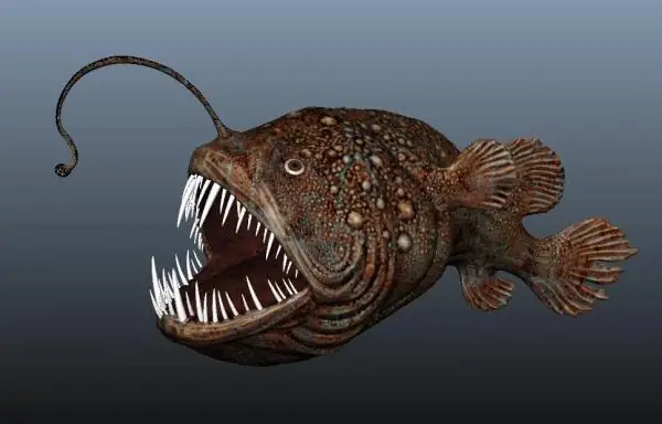 Lanturn Là Gì? Phân Tích Chuyên Sâu Về Pokemon Cá Đèn Lồng