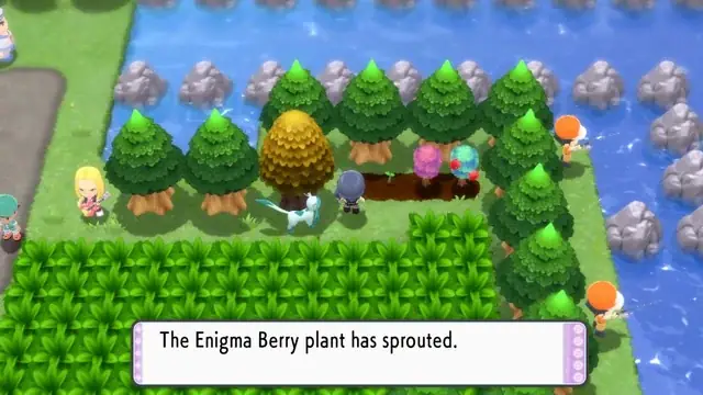 Khám Phá Enigma Berry: Công Dụng, Cách Dùng Và Lịch Sử Bí Ẩn