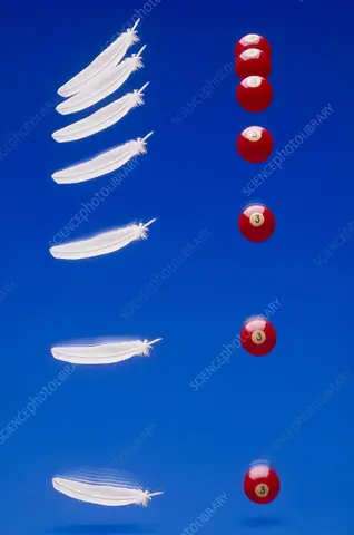 Feather Ball Là Gì? Hướng Dẫn Tối Ưu Bắt Pokemon Bay Lượn