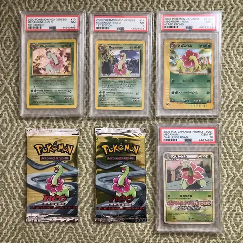 Venusaur: Giải Mã Pokemon Khủng Long Hoa Và Sức Mạnh Tiềm Ẩn