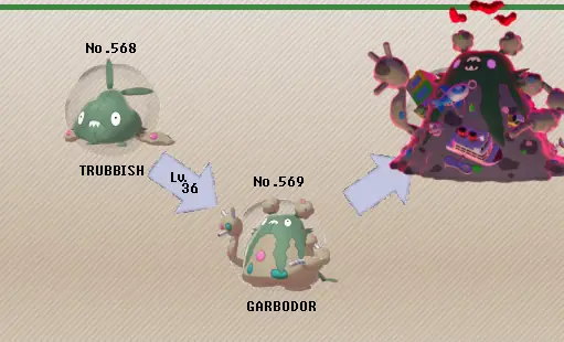 Garbodor Tiến Hóa Từ Pokemon Nào Và Ở Cấp Độ Mấy?