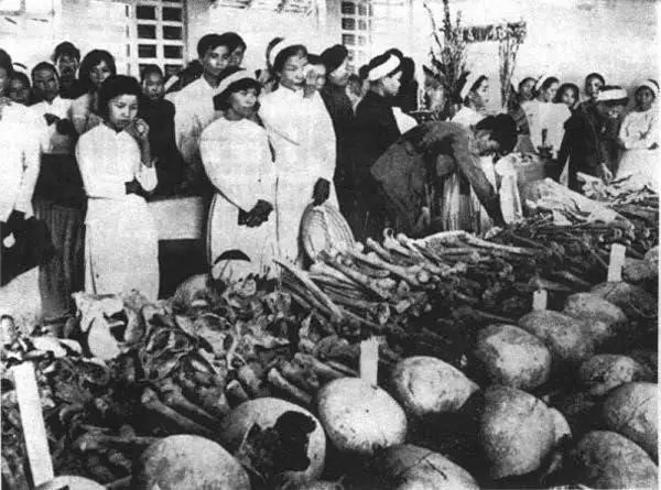 Chỉ Số Tình Bạn Pokemon: Hướng Dẫn Wiki Chi Tiết Từ A-z