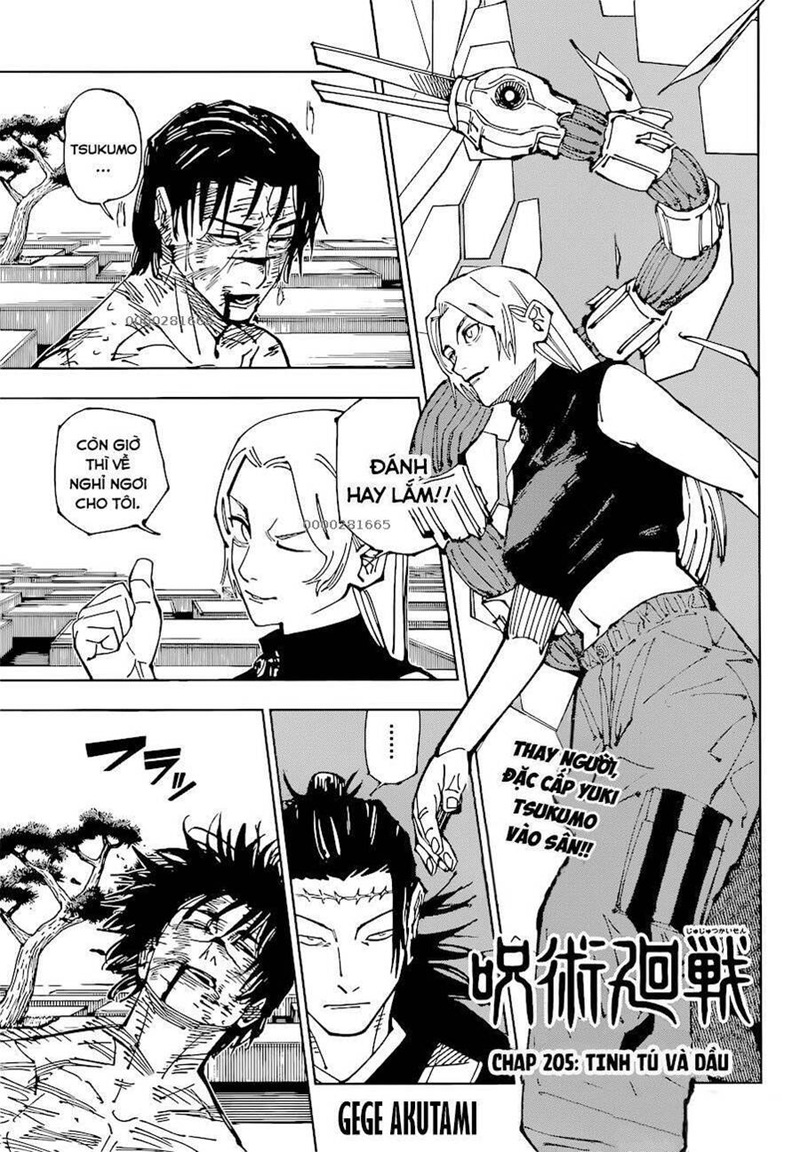 jujutsu kaisen chap 205 1