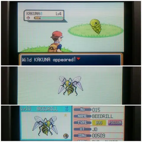 Hướng Dẫn Chi Tiết Về Kakuna Evolution Và Sức Mạnh Của Beedrill