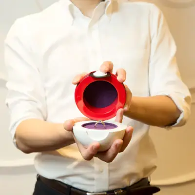 Pokemon U-treasure - Monster Ball Accessory Case (case Only)