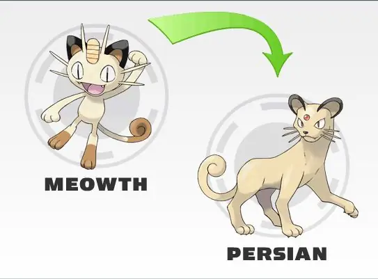 Meowth Dạng Alolan Và Persian Dạng Alolan: Bóng Tối Thanh Lịch