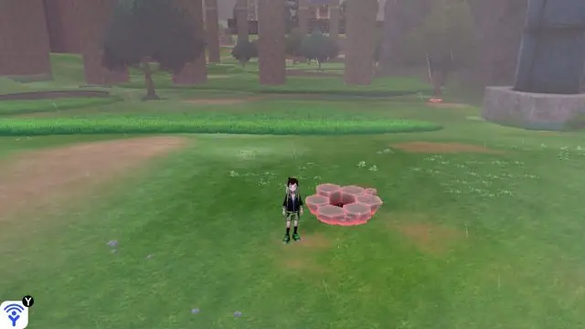 Max Raid Battle Dens